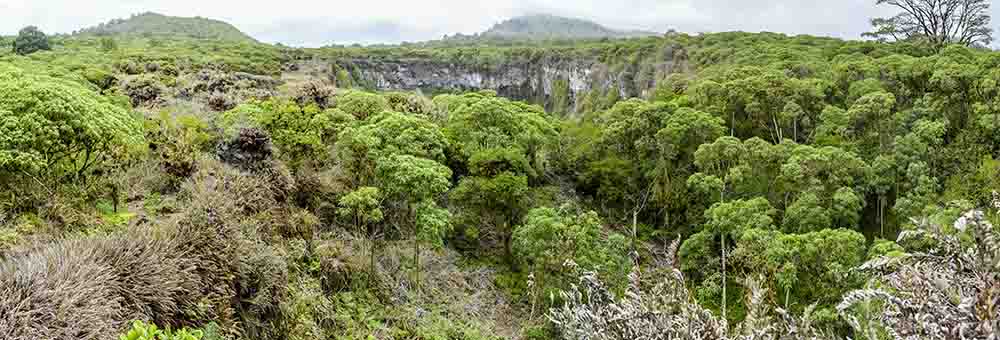 99 - Ecuador - islas Galapagos - isla Santa Cruz - Los Gemelos